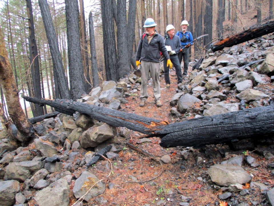 Trail 400 - Work crews doing an initial clearing