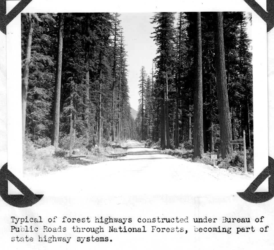Bureau of Public Roads Highway Through Forest