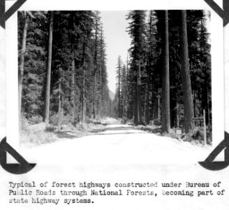 Bureau of Public Roads Highway Through Forest