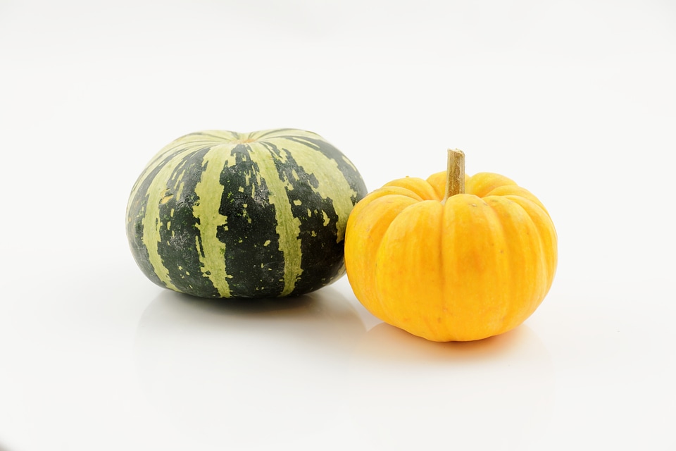 Harvest healthy food