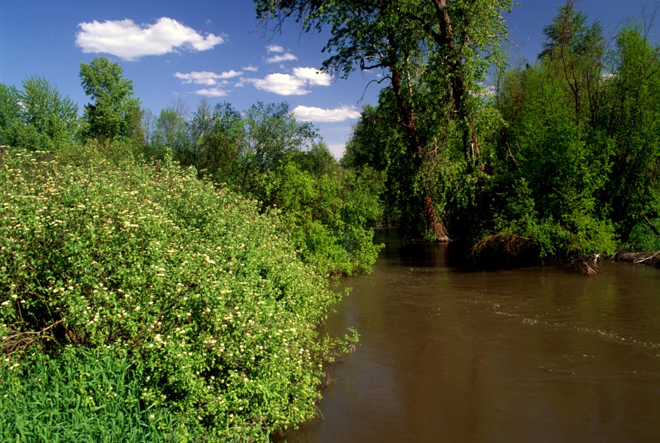 Mill Creek, Colville National Forest
