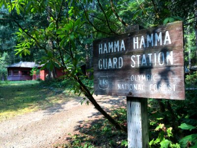 Hamma Hamma Guard Station Sign, Olympic National Forest.
