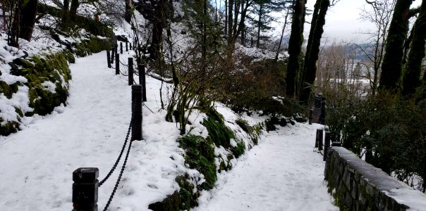 2019 02 12 Mult Falls with snow and ice Photo by Matt Ramich  Columbia River Gorge National Scenic Area - U.S. Forest Service​  Ranger