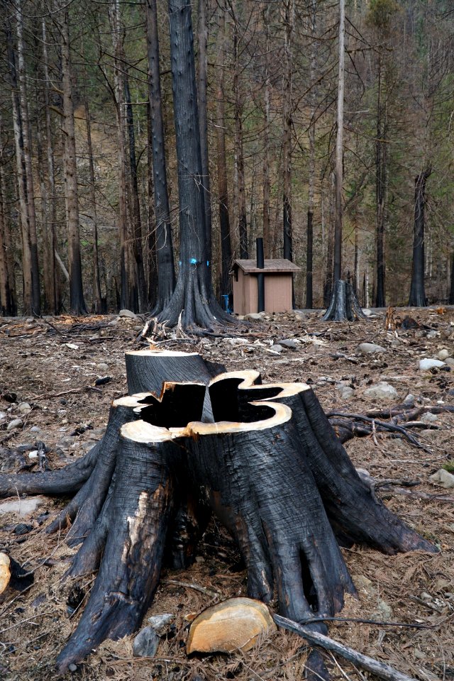 Lockaby Campground, Mt. Hood National Forest
