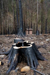 Lockaby Campground, Mt. Hood National Forest