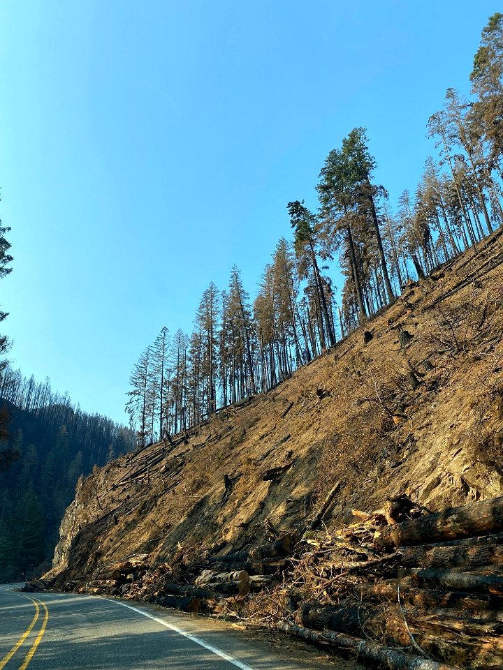 Hazard Tree Removal - Oregon Department of Transportation has worked tirelessly to open Hwy 138 between Glide and Diamond Lake. The work consists of removing debris from the roadway as well as removing weakened trees that may fall onto the roadway.