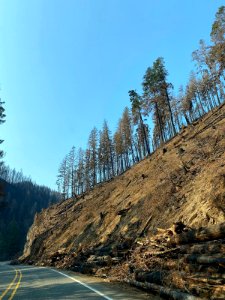 Hazard Tree Removal - Oregon Department of Transportation has worked tirelessly to open Hwy 138 between Glide and Diamond Lake. The work consists of removing debris from the roadway as well as removing weakened trees that may fall onto the roadway.