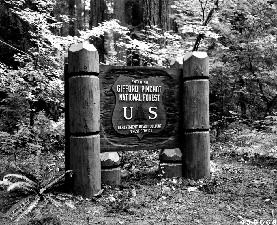 456668 GPNF Sign WA 1949
