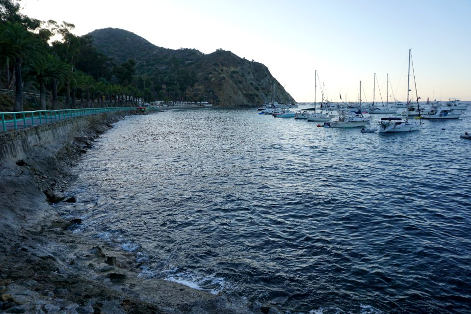 Catalina Island, CA (Unedited)