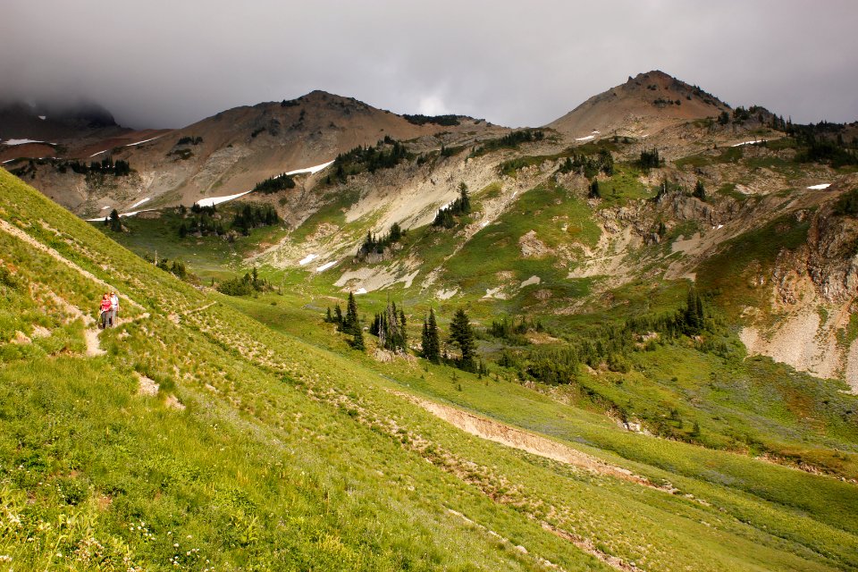 Pacific Crest Trail and Cispus River basin, Goat Rocks Wilderness on the Gifford Pinchot National Forest