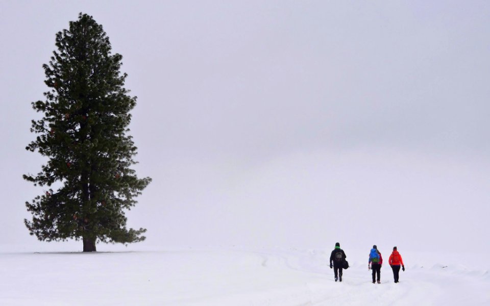 Mt. Hood Meadows on the Mt. Hood National Forest