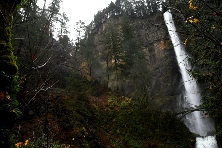 Multnomah Falls post-fire creek is running high due to increased rainfall.