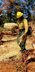 Straw and Seed Repair, Klondike Fire