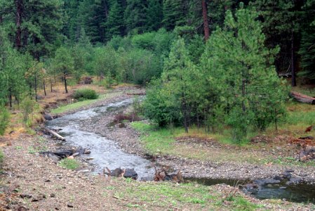 Ochoco National Forest, Mill Creek stream restoration.jpg photo