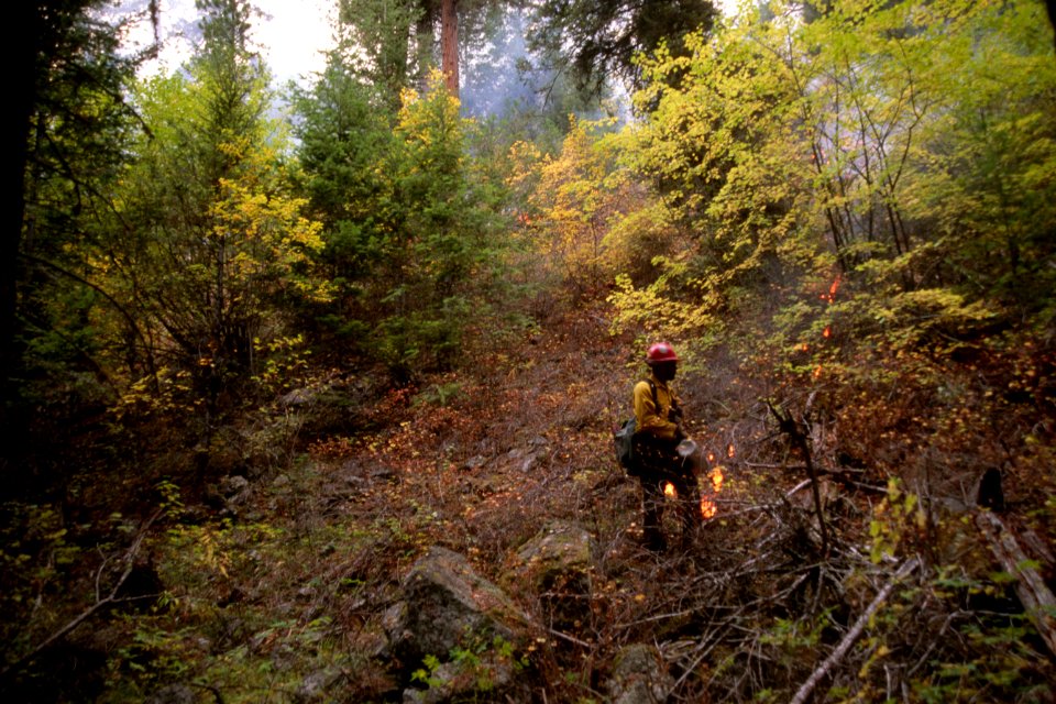 442 Prescribed Fire