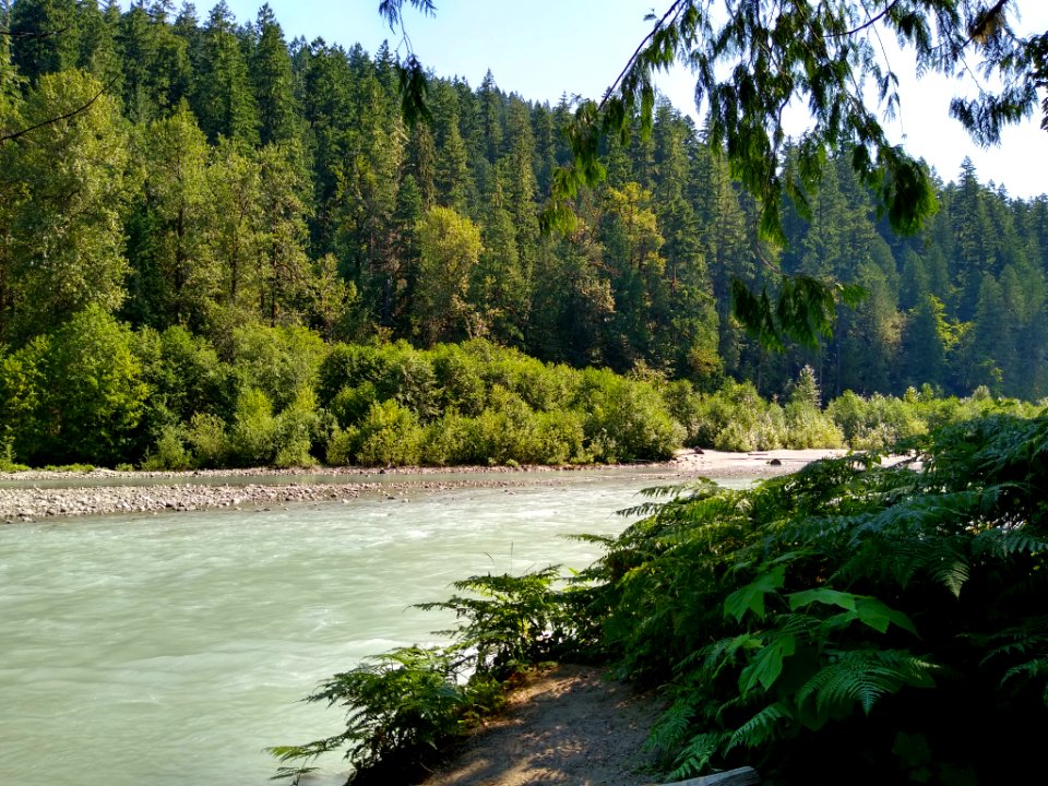 Summertime Sauk River along Old Sauk Trail, Mt. Baker-Snoqualmie National Forest. Photo by Anne Vassar July 30, 2020.