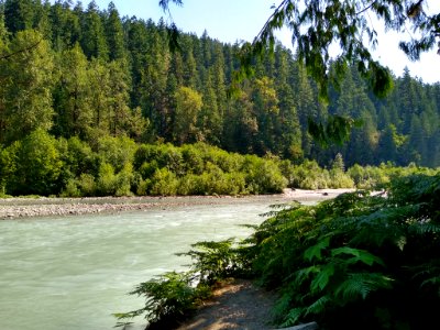 Summertime Sauk River along Old Sauk Trail, Mt. Baker-Snoqualmie National Forest. Photo by Anne Vassar July 30, 2020.