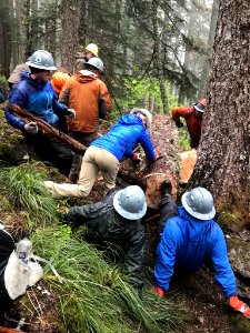 Pacific Crest Trail Association (PCTA) Trail Crew Volunteers move a big log from PCT in the burn area, June 2018