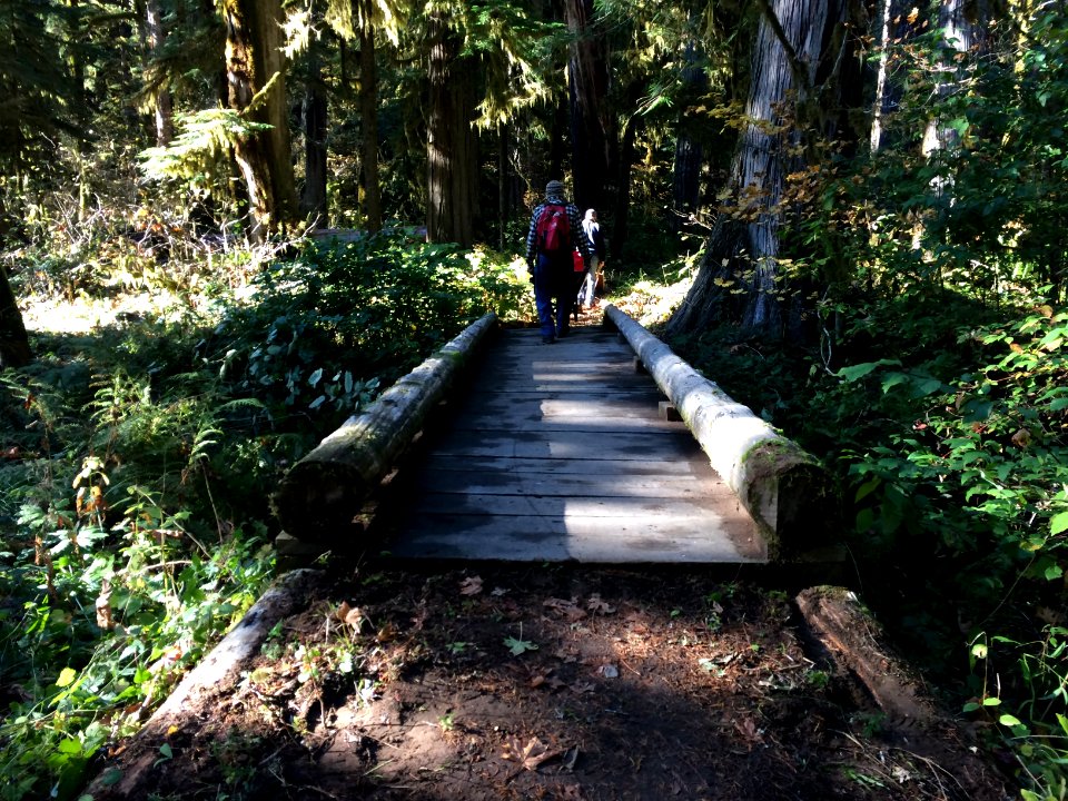 202010 Lewis River Trail Bridge