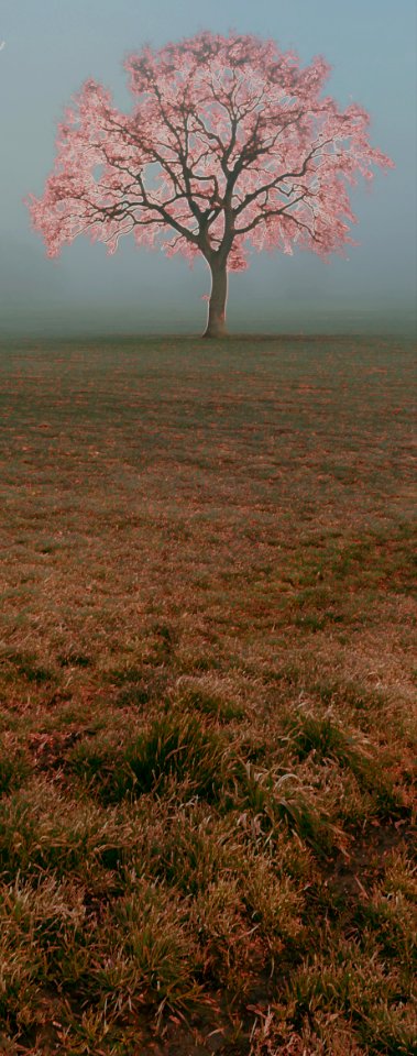 P1350564