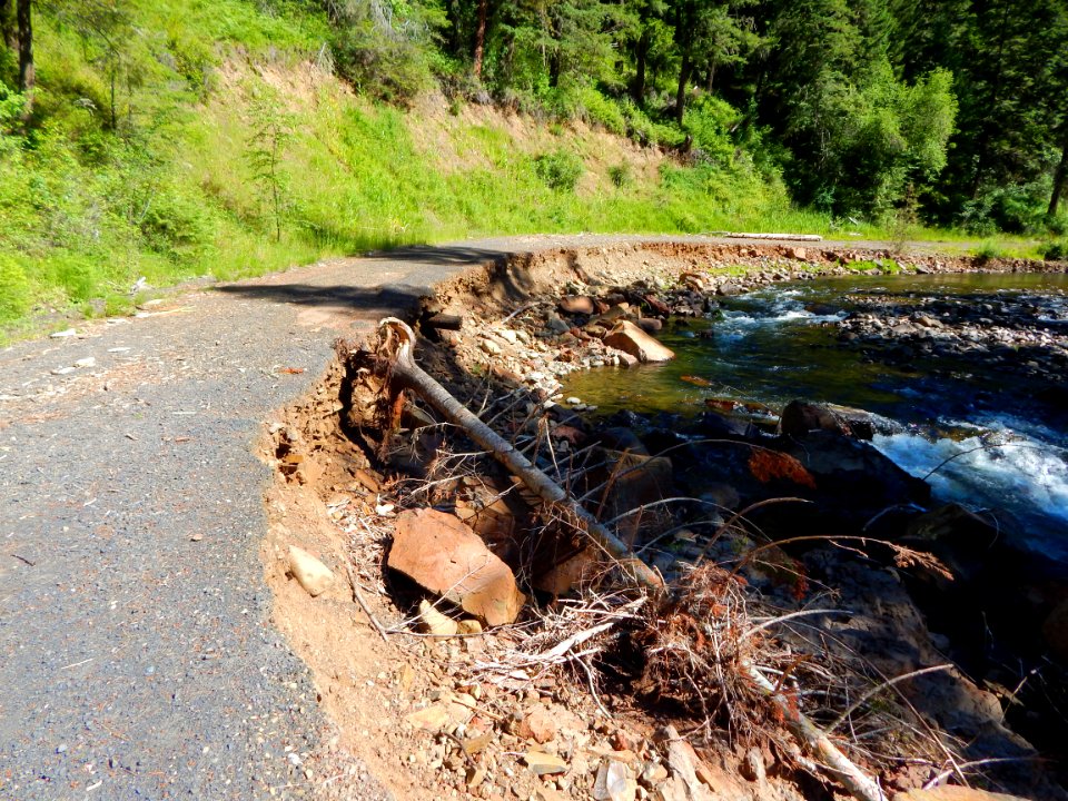 Forest Service Road 32 (Umatilla River)