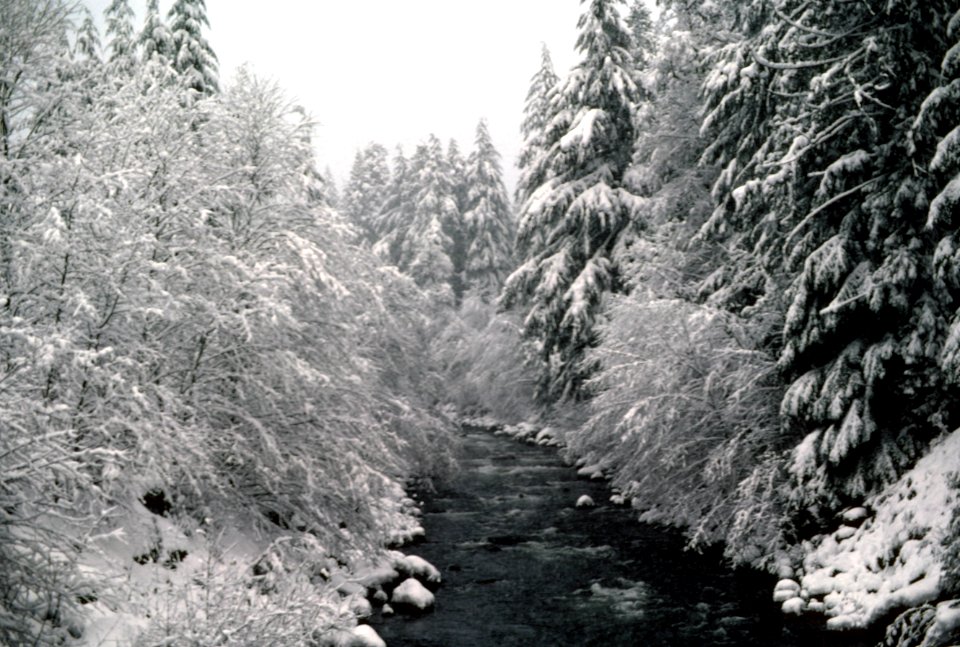 Sandy River in Winter,  Mt Hood National Forest.jpg