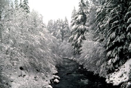 Sandy River in Winter, Mt Hood National Forest.jpg photo