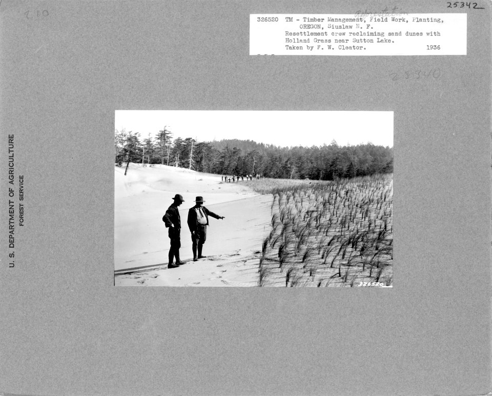 326520 Resettlement Crew Planting Dunes near Sutton Lake, Siuslaw NF, OR 1936