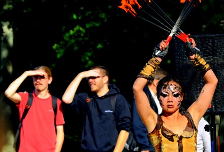 Festival fous et marché d'histoire Nantes