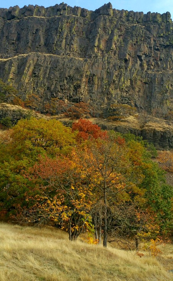 Coyote Wall Trailhead October 2018 2, by Sharon Steriti, Columbia River Gorge National Scenic Area