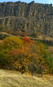 Coyote Wall Trailhead October 2018 2, by Sharon Steriti, Columbia River Gorge National Scenic Area