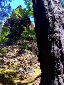Pacific Crest Trail (PCT) in the Columbia River Gorge in Oregon post Eagle Creek Fire 6/14/2018 photo by Ralph Bloemers, Crag Law Center