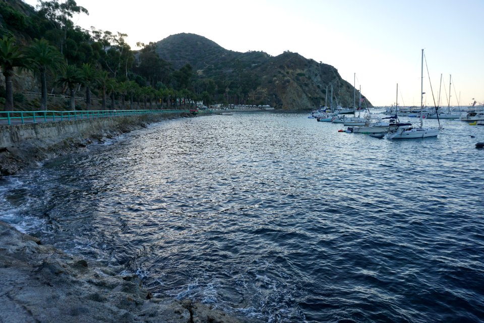 Catalina Island, CA (Unedited)