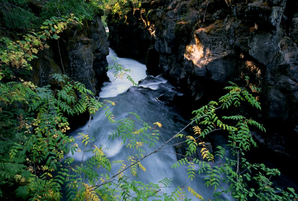 River Entering Gorge, Rogue River-Siskiyou National Forest.jpg