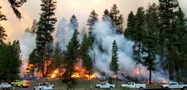 Firefighting crews monitor the Canyon 66 Prescribed fire photo