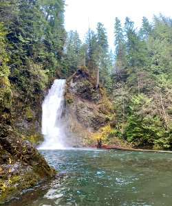2020-11-7 Olympic Waterfall USFS photo by Kelsey Dyer
