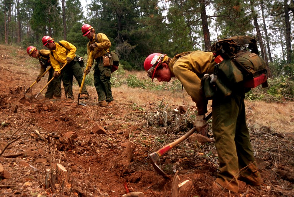 211 Rogue River-Siskiyou National Forest Biscuit Fire