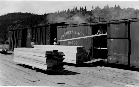 348142 Loading Lumber in Boxcar, Bingen, WA 1937