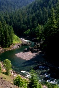 Clackamas River, Mt Hood National Forest-3.jpg