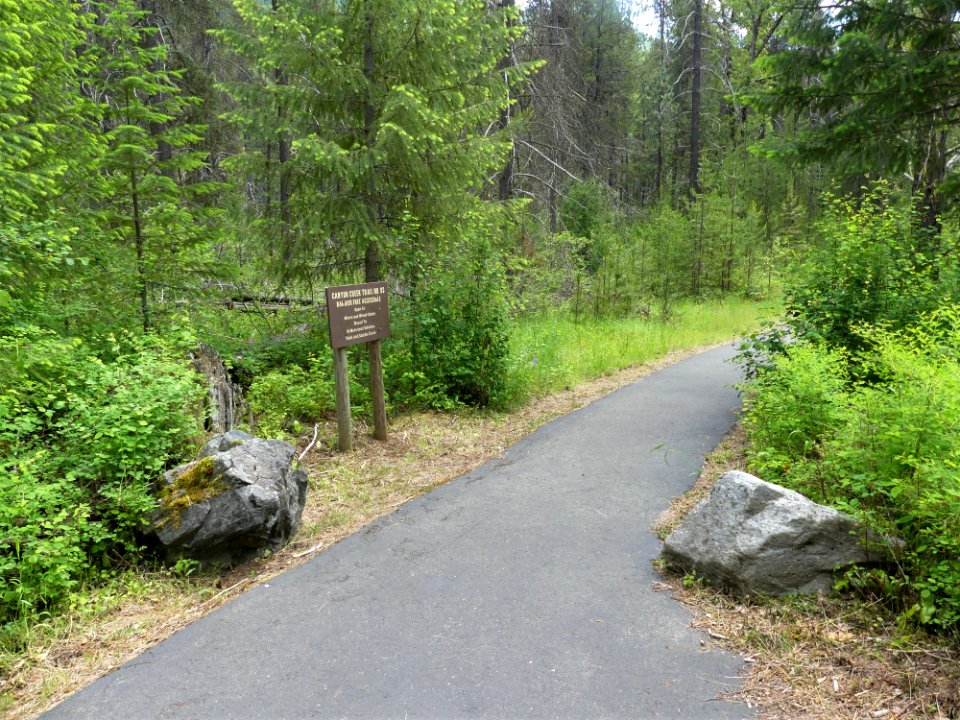 Colville NF log flume trail June 2020 by Sharleen Puckett 17
