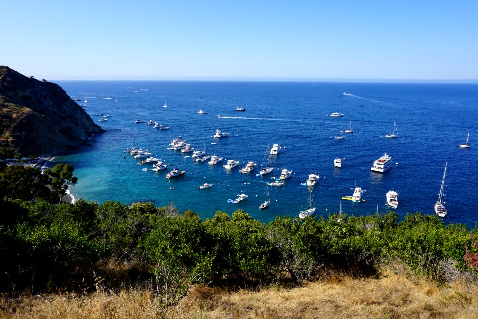 Catalina Island, CA (Unedited)