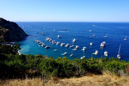 Catalina Island, CA (Unedited) photo