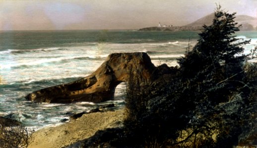 Jump Off Joe Rock, Newport, OR photo