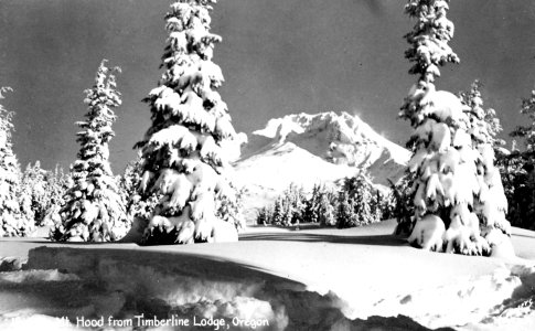 15-884 Mt. Hood from Timberline Lodge photo