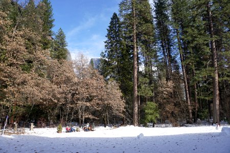 Yosemite Valley, CA (Unedited)