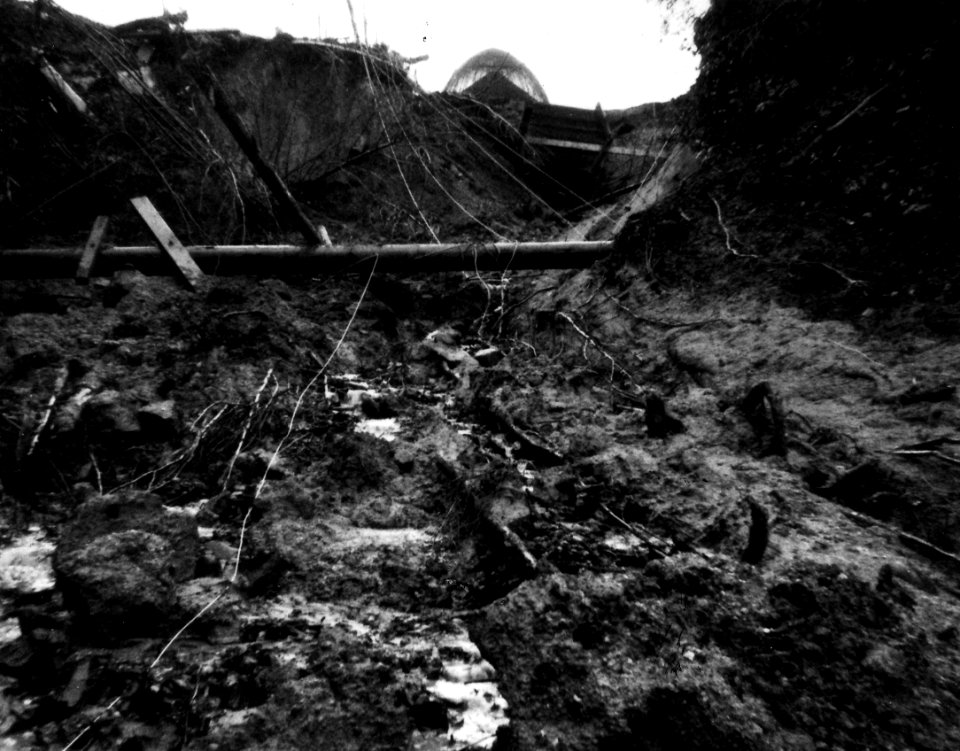 Umpqua NF -  1964 Storm Damage 12-23-1944 1