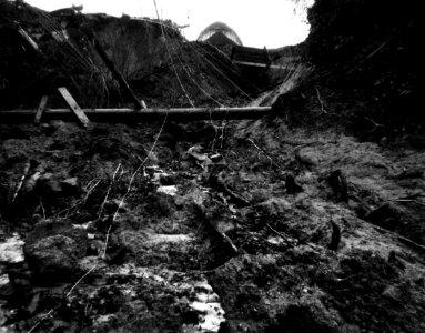 Umpqua NF -  1964 Storm Damage 12-23-1944 1