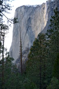 Yosemite Valley, CA (Unedited)