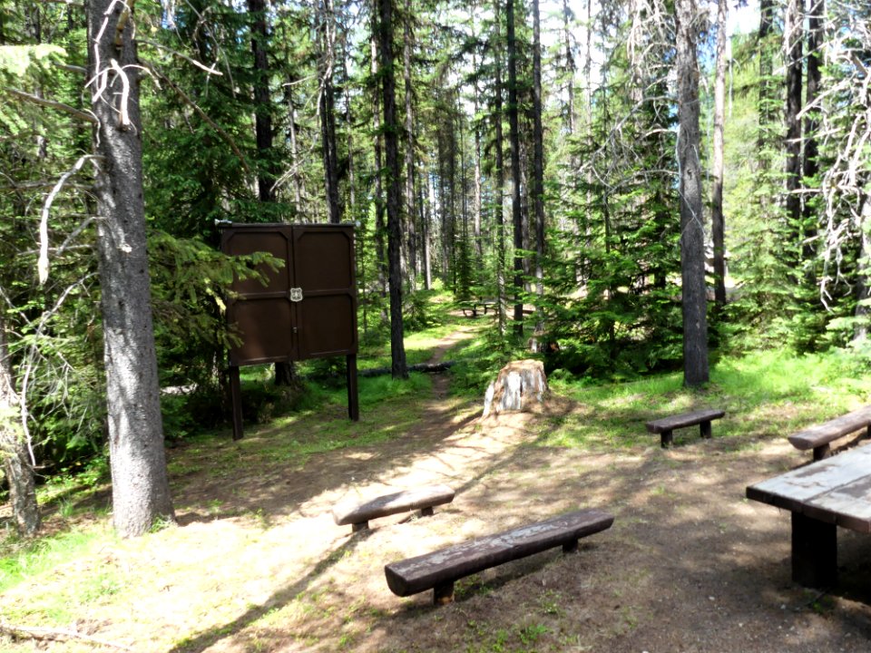 Colville NF Gillette Lake Campground June 2020 by Sharleen Puckett 19