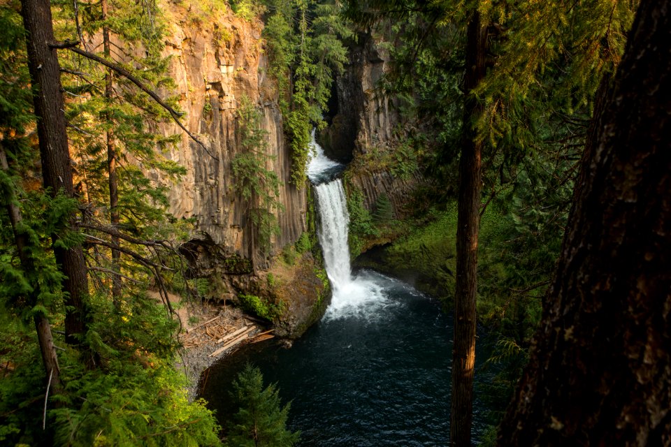Toketee Falls, Umpqua National Forest